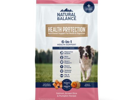 Natural Balance Pet Foods Health Protection Dry Dog Food Salmon, Brown Rice  Pumpkin, 1ea 4 lb Online Sale