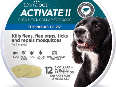 Vetality Protect Flea & Tick Dog Collar 1ea 2 pk Online Hot Sale