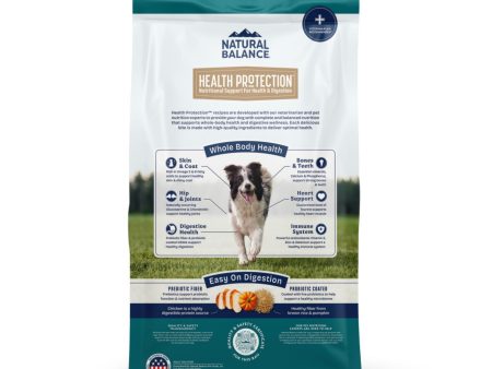 Natural Balance Pet Foods Health Protection Dry Dog Food Chicken, Rice  Pumpkin, 1ea 4 lb Hot on Sale