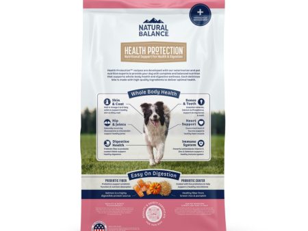 Natural Balance Pet Foods Health Protection Dry Dog Food Salmon, Brown Rice  Pumpkin, 1ea 22 lb Online Sale