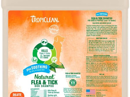 TropiClean Natural Flea & Tick Soothing Shampoo for Dogs 1ea 1 gal For Cheap