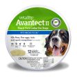 Vetality Avantect II Flea & Tick Collar for Dogs 1ea 26 in, 2 ct on Sale