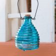 Glass Wasp Trap on Sale