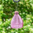 Glass Wasp Trap on Sale