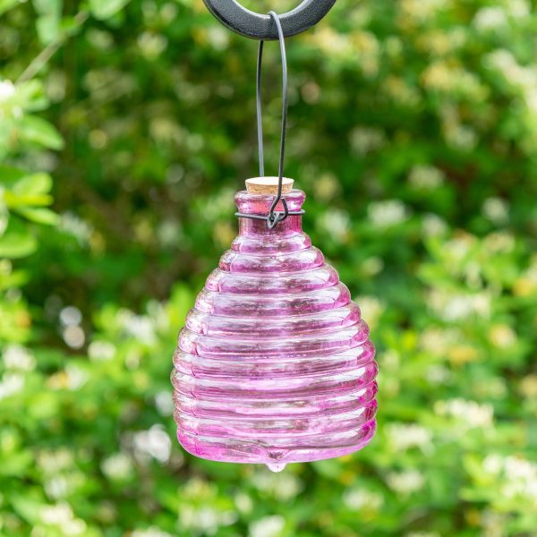 Glass Wasp Trap on Sale