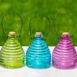 Glass Wasp Trap on Sale